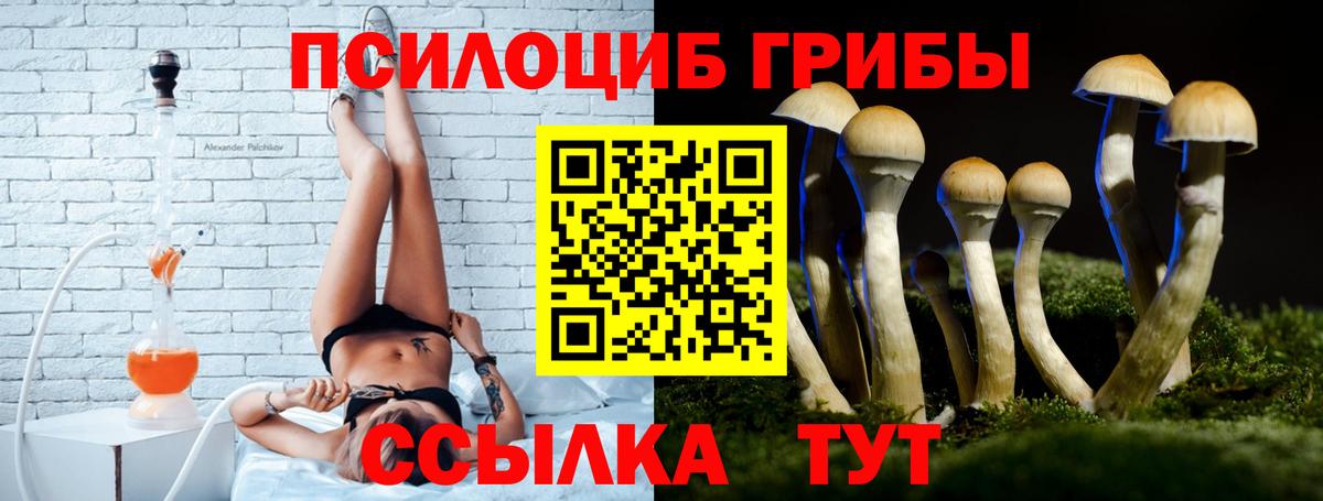 Псилоцибиновые грибы Psilocybine cubensis  Псилоцибиновые грибы MAGIC MUSHROOMS  Тамбов  Вход с VPN 